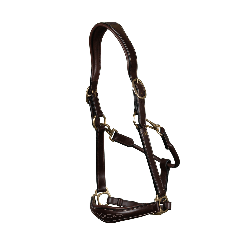 Leather Halter | Dy'on | versatile — Image 3