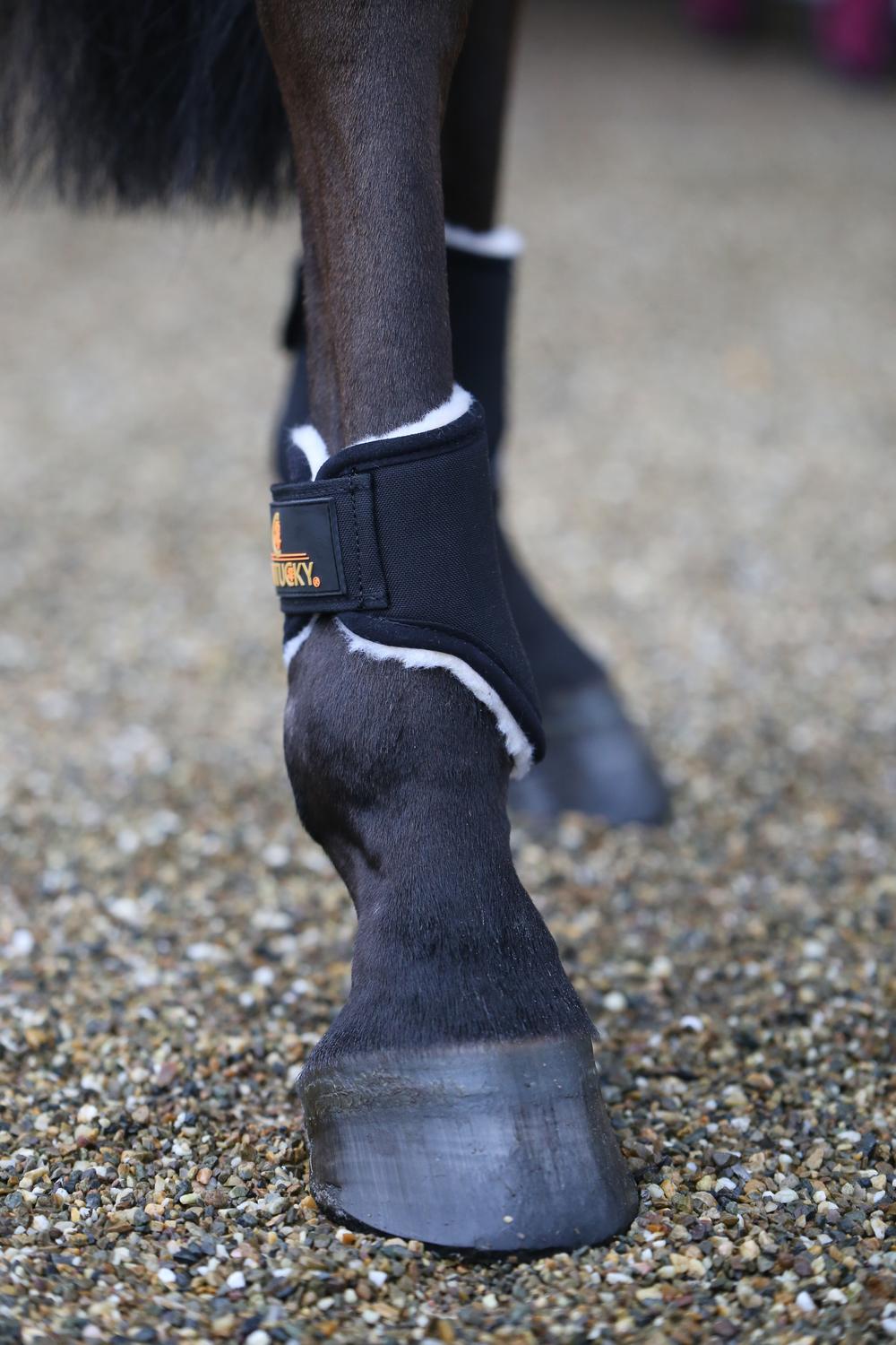 Brushing Boots Solimbra Hind Short | Kentucky Horsewear | Protection — Image 4