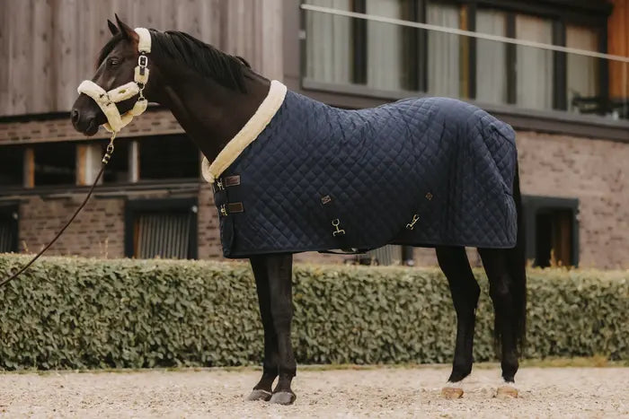 Kentucky Show Rug Navy 160 g