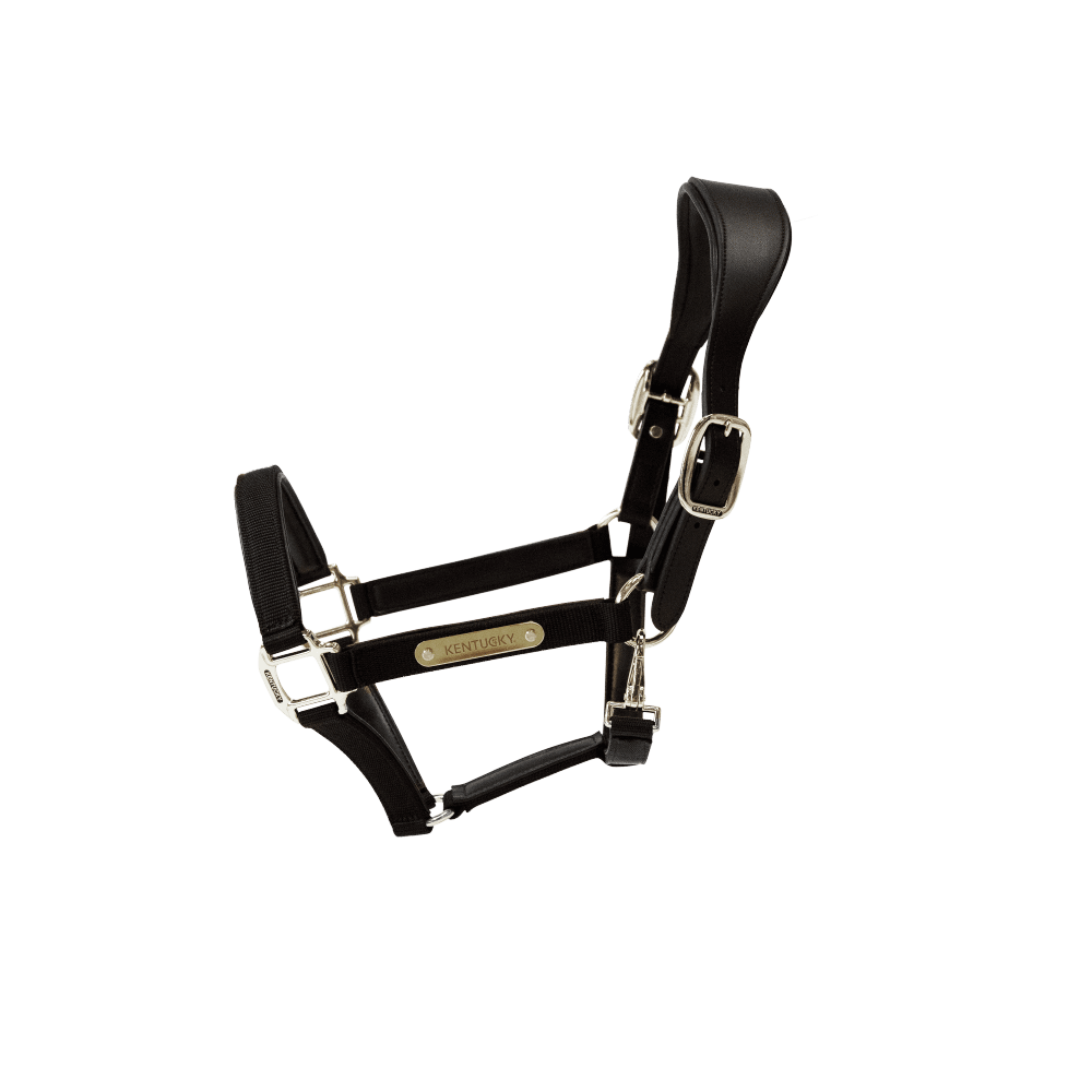 Nylon Anatomic Halter | Kentucky Horsewear | Durable — Image 6