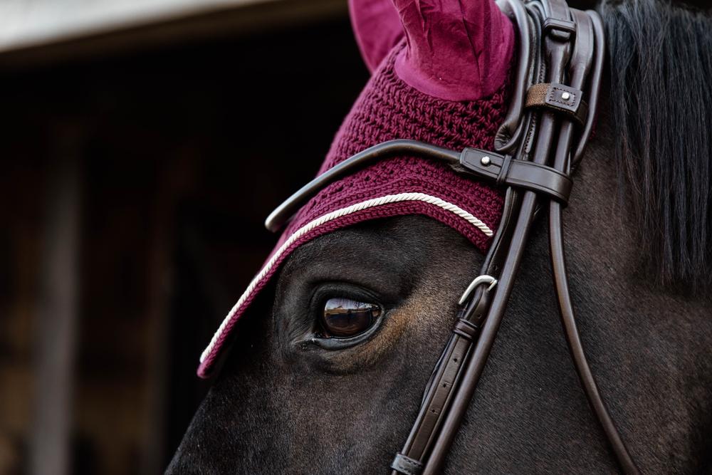 Fly Veil Wellington Velvet | Kentucky Horsewear | Colourful — Image 14