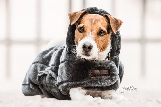 Kentucky Dog Coat Fake Fur Grey