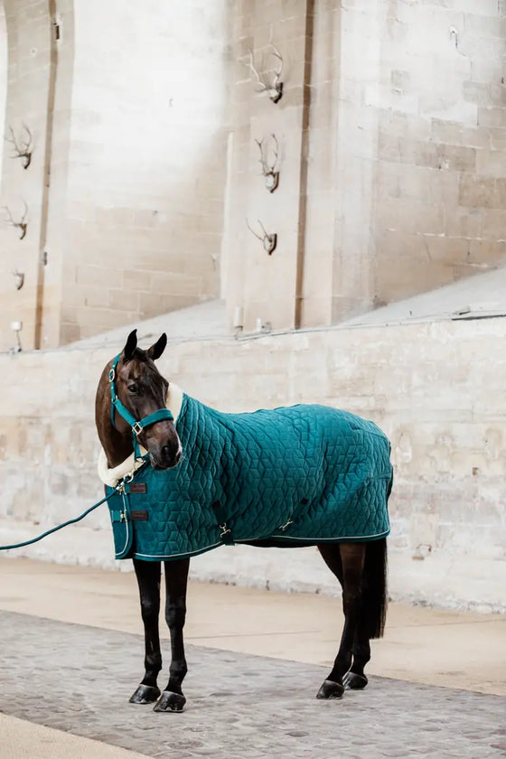 Kentucky Velvet Show Rug Emerald 160 g