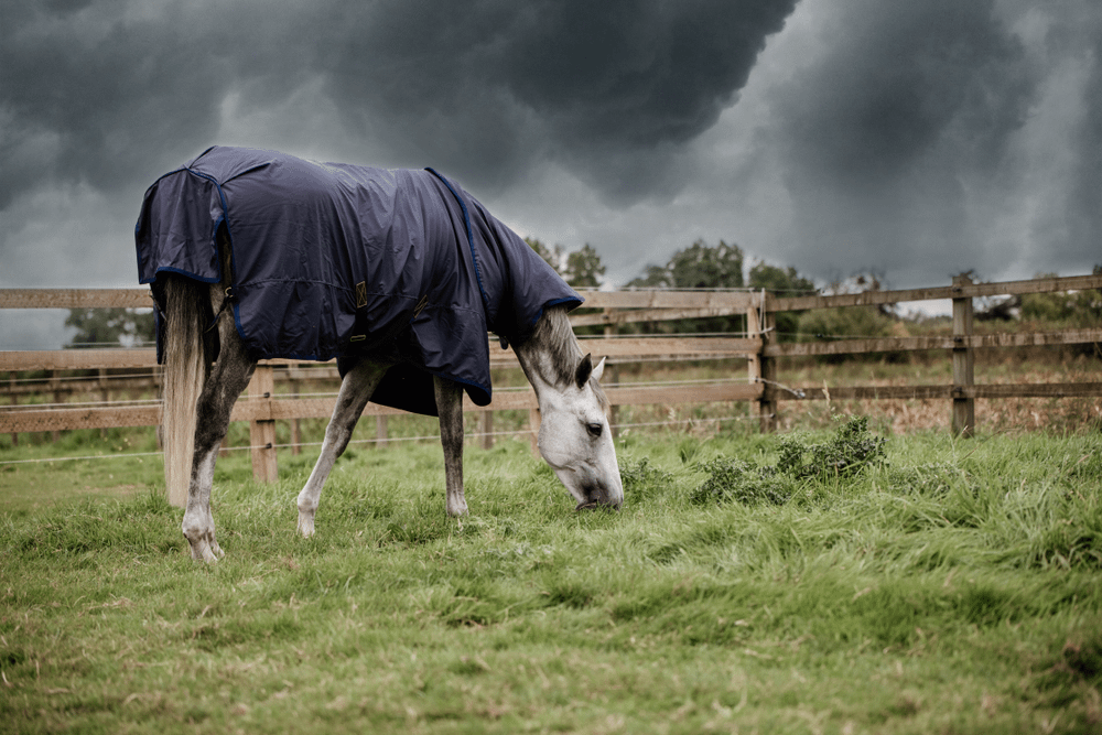 Turnout Rug All Weather Hurricane | Kentucky Horsewear | Waterproof — Image 12