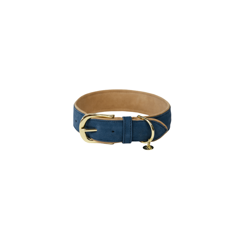 Dog Collar Soft Vegan Leather | Kentucky Dogwear | eco-friendly — Image 13