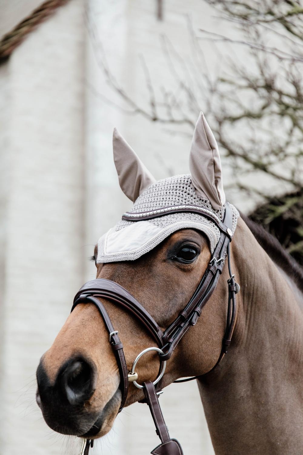 Fly Veil Wellington Basic Velvet | Kentucky Horsewear | Colourful — Image 10