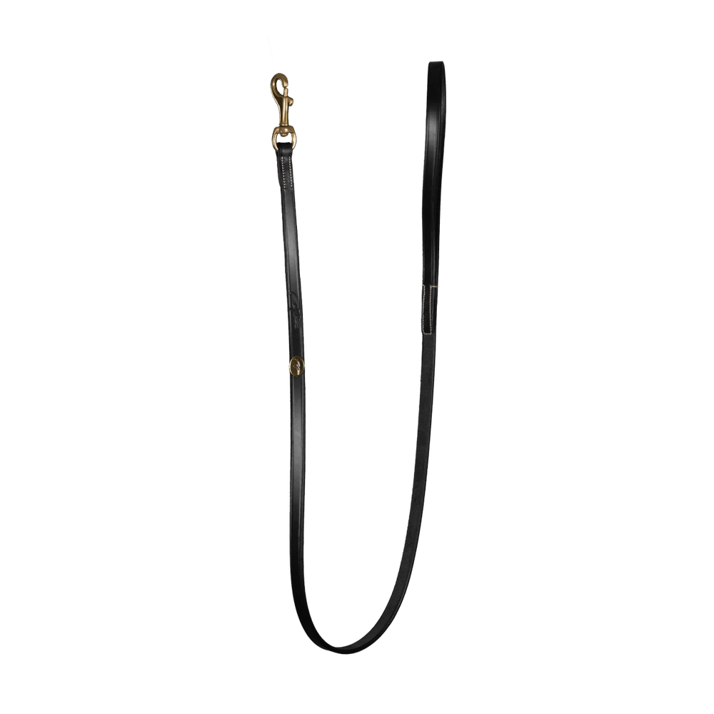 Dy'on Classic Dog Leash