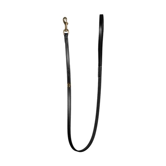 Dy'on Classic Dog Leash