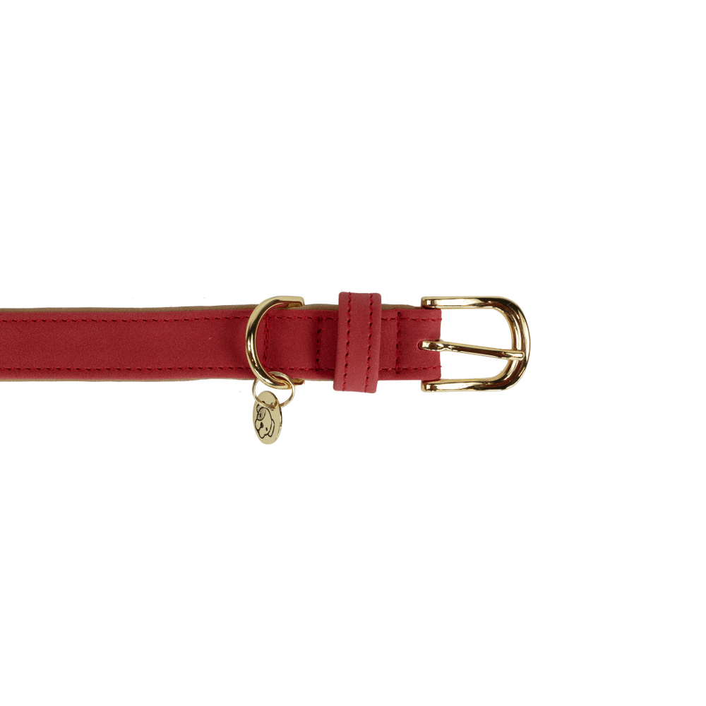 Dog Collar Soft Vegan Leather | Kentucky Dogwear | eco-friendly