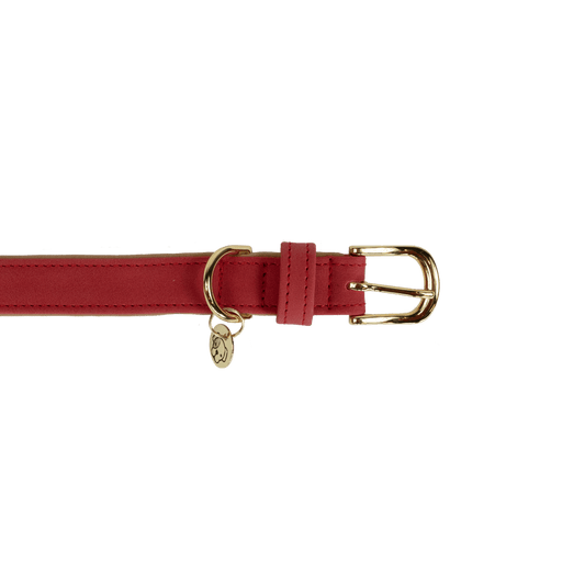 Dog Collar Soft Vegan Leather | Kentucky Dogwear | eco-friendly