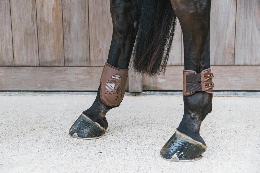 Fetlock Boots Elastic | Kentucky Horsewear | Durable — Image 3