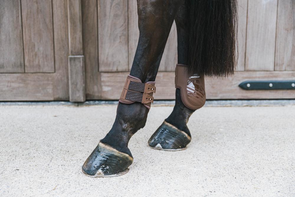 Fetlock Boots Elastic | Kentucky Horsewear | Durable — Image 4