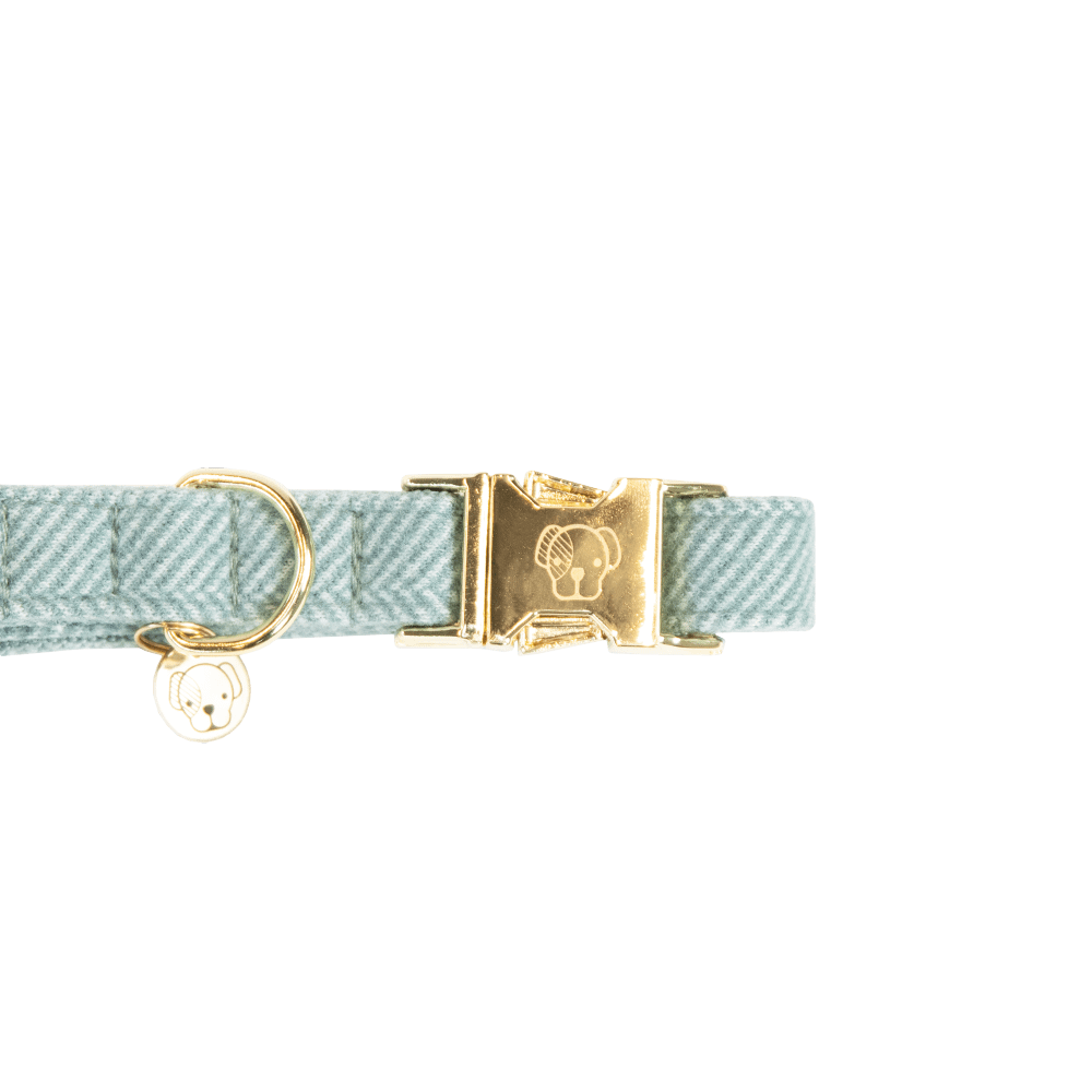 Dog Collar Wool | Kentucky Dogwear | Stylish — Image 5