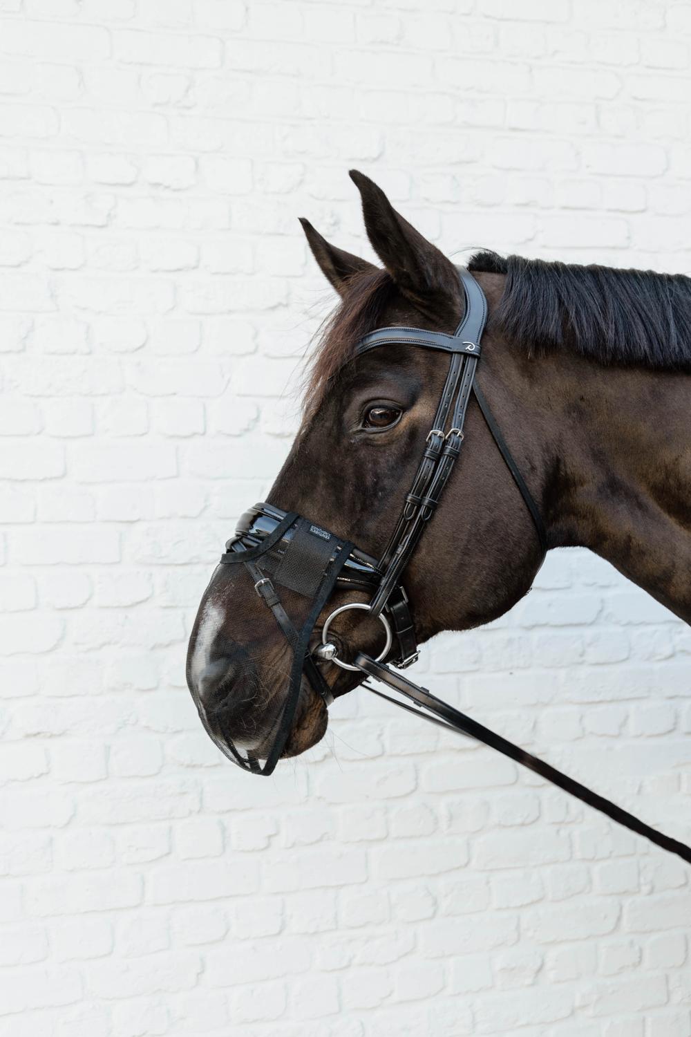 Anti Fly Nose Net | Kentucky Horsewear | breathable — Image 7