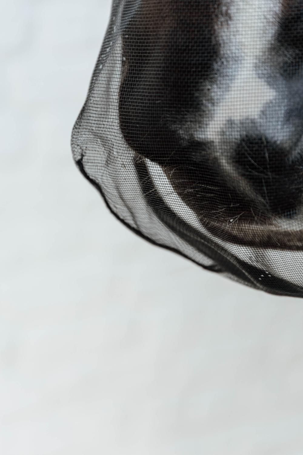 Anti Fly Nose Net | Kentucky Horsewear | breathable — Image 9