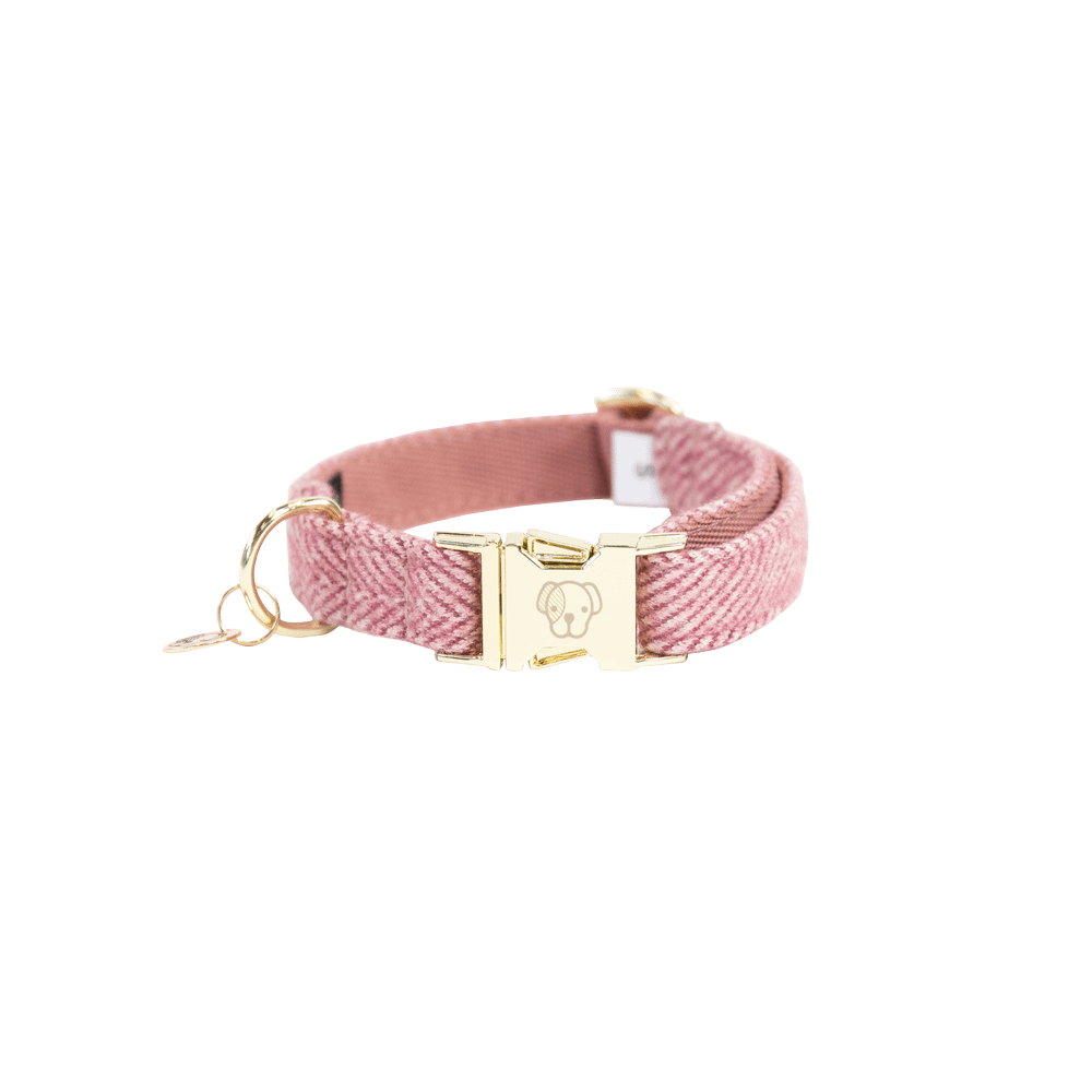 Dog Collar Wool | Kentucky Dogwear | Stylish — Image 12