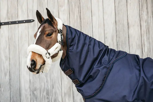 Boomerang Equestrian - Kentucky Neck All Weather Pro Hood Navy 0 G