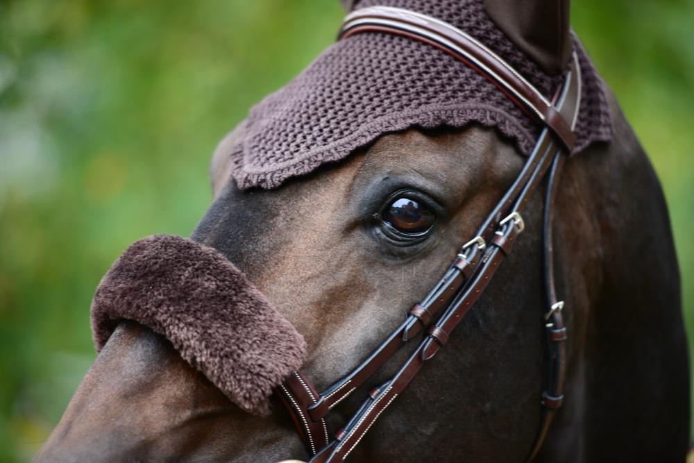 Fly veil | Kentucky Horsewear | Durable — Image 9