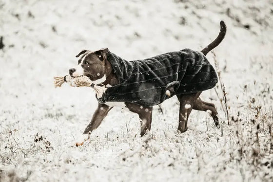 Kentucky Dog Coat Fake Fur Grey