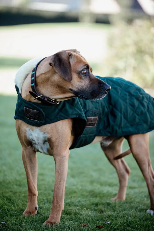 Boomerang Equestrian - Kentucky Dog Coat Original Dark Green