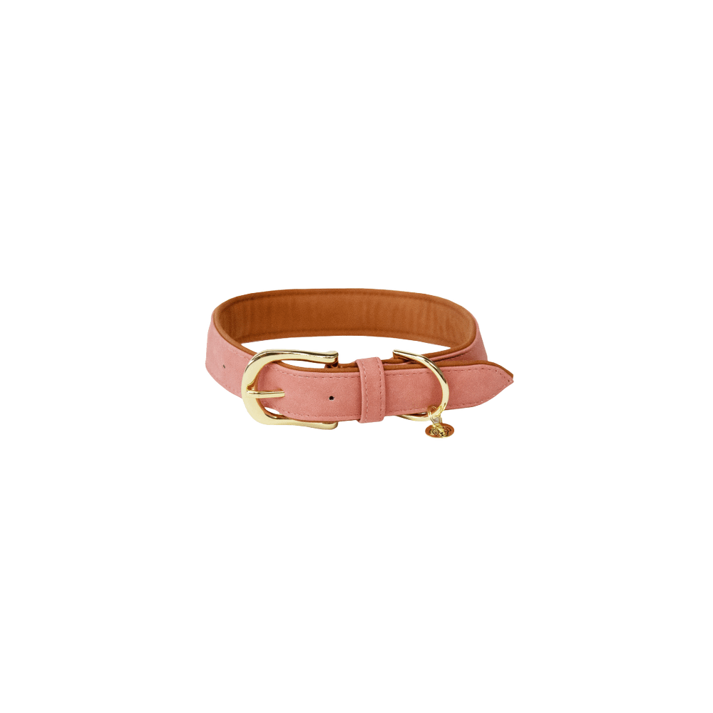Dog Collar Soft Vegan Leather | Kentucky Dogwear | eco-friendly — Image 10