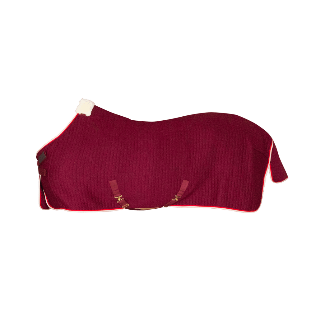 Cooler Rug PROtherm | Kentucky Horsewear | thermoregulation