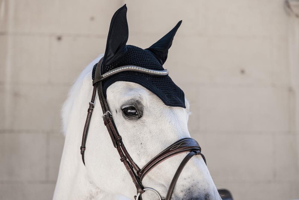Fly Veil Wellington | Kentucky Horsewear | Soundproof — Image 12