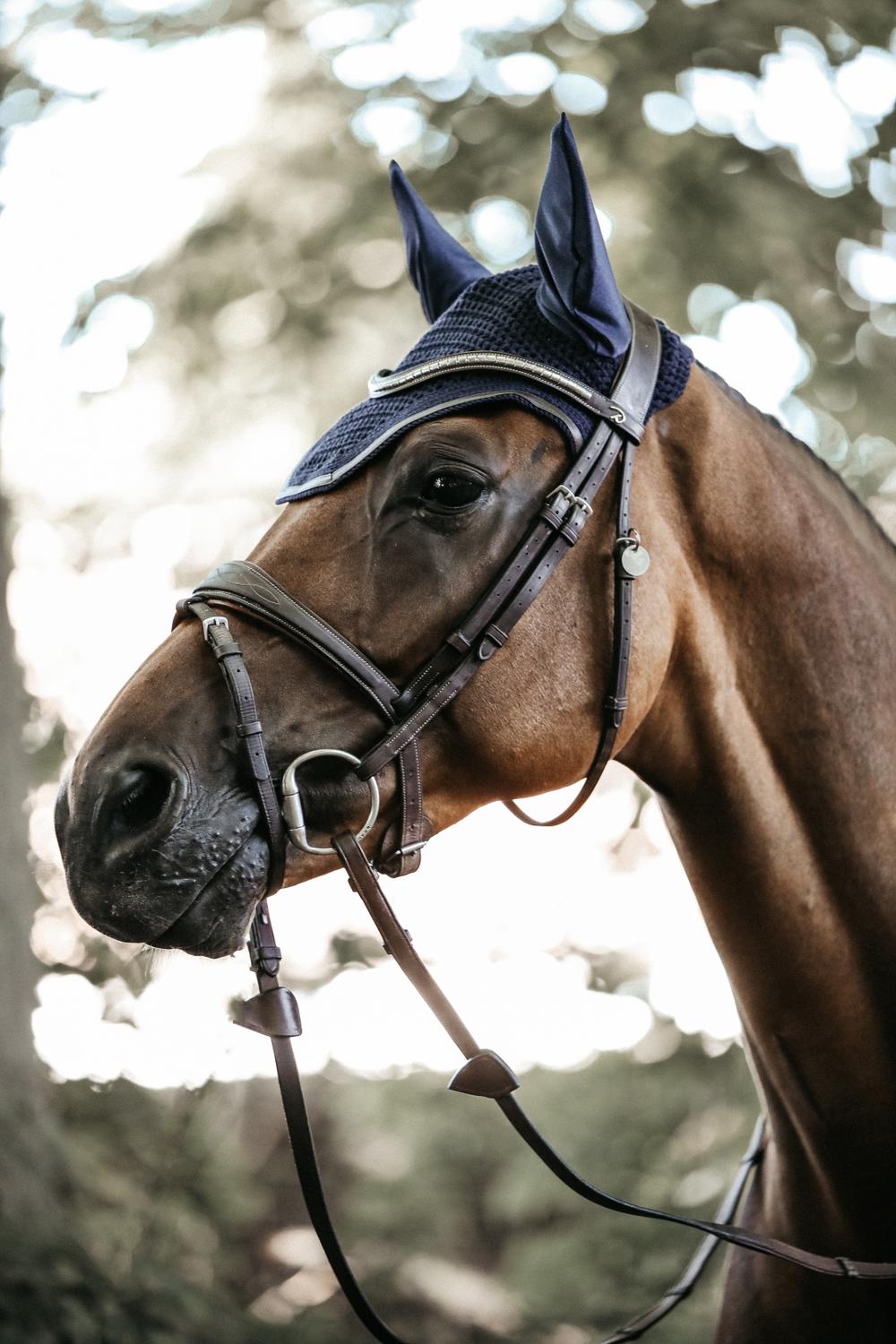 Fly Veil Wellington Leather | Kentucky Horsewear | Durability — Image 5