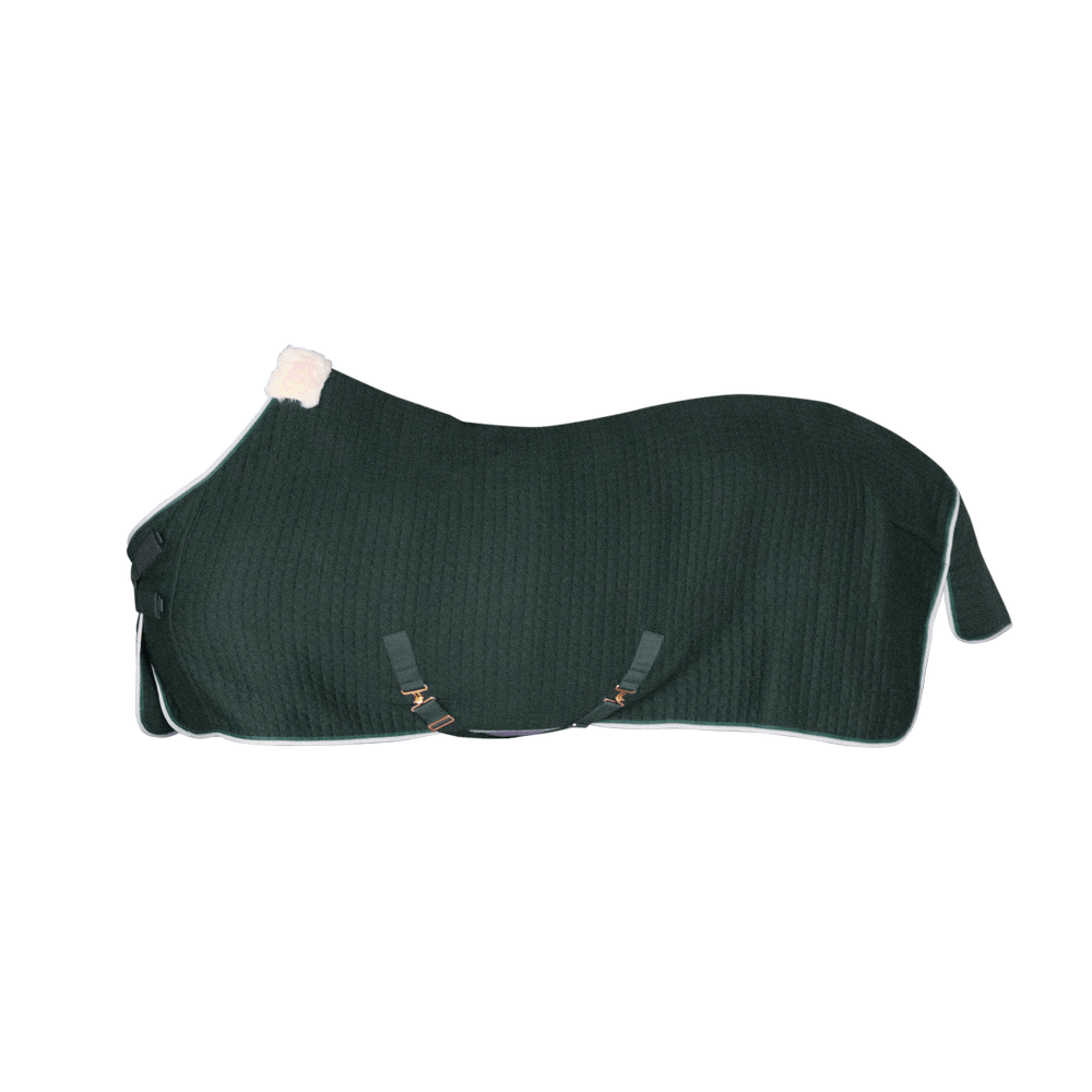 Cooler Rug PROtherm | Kentucky Horsewear | thermoregulation — Image 9