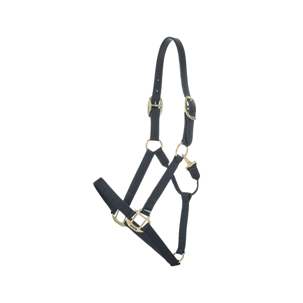 Nylon Halter Breakaway | Kentucky Horsewear | safety
