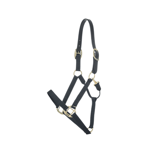Nylon Halter Breakaway | Kentucky Horsewear | safety
