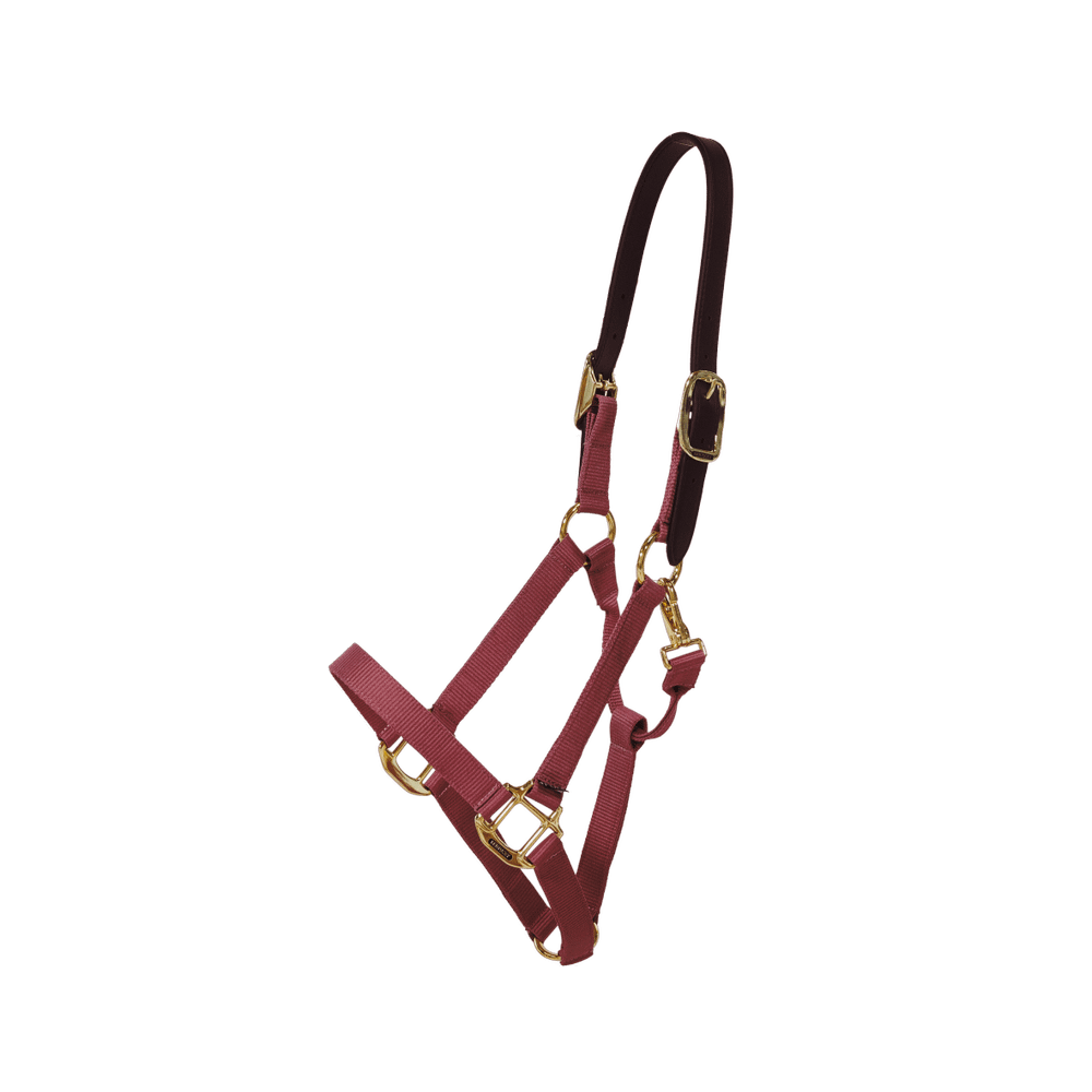 Nylon Halter Breakaway | Kentucky Horsewear | safety — Image 12