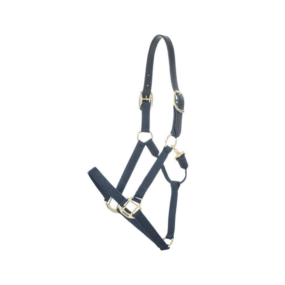 Nylon Halter Breakaway | Kentucky Horsewear | safety — Image 4