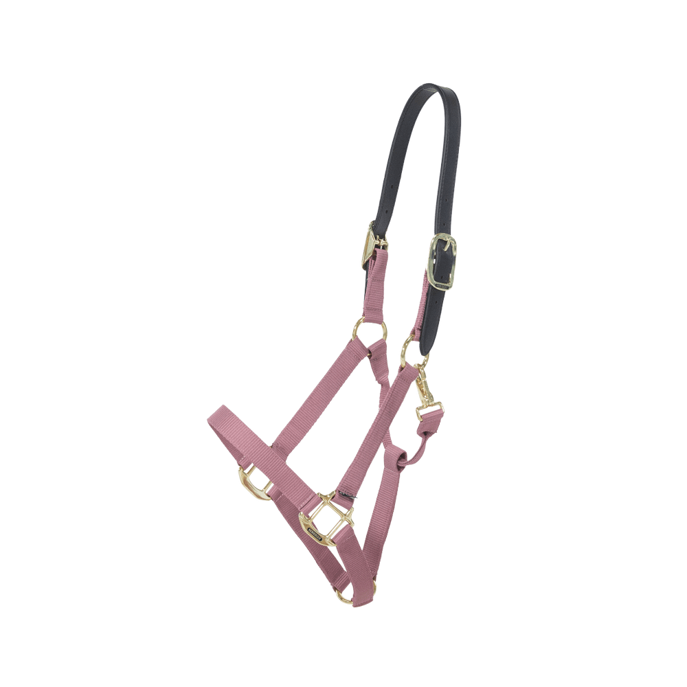 Nylon Halter Breakaway | Kentucky Horsewear | safety — Image 6