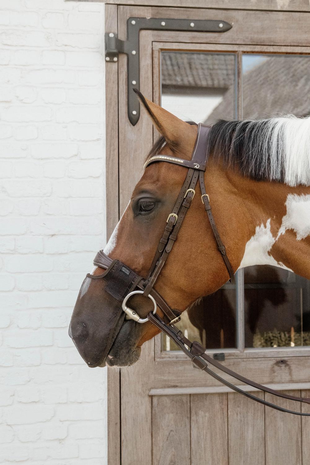 Anti Fly Nose Net | Kentucky Horsewear | breathable — Image 3