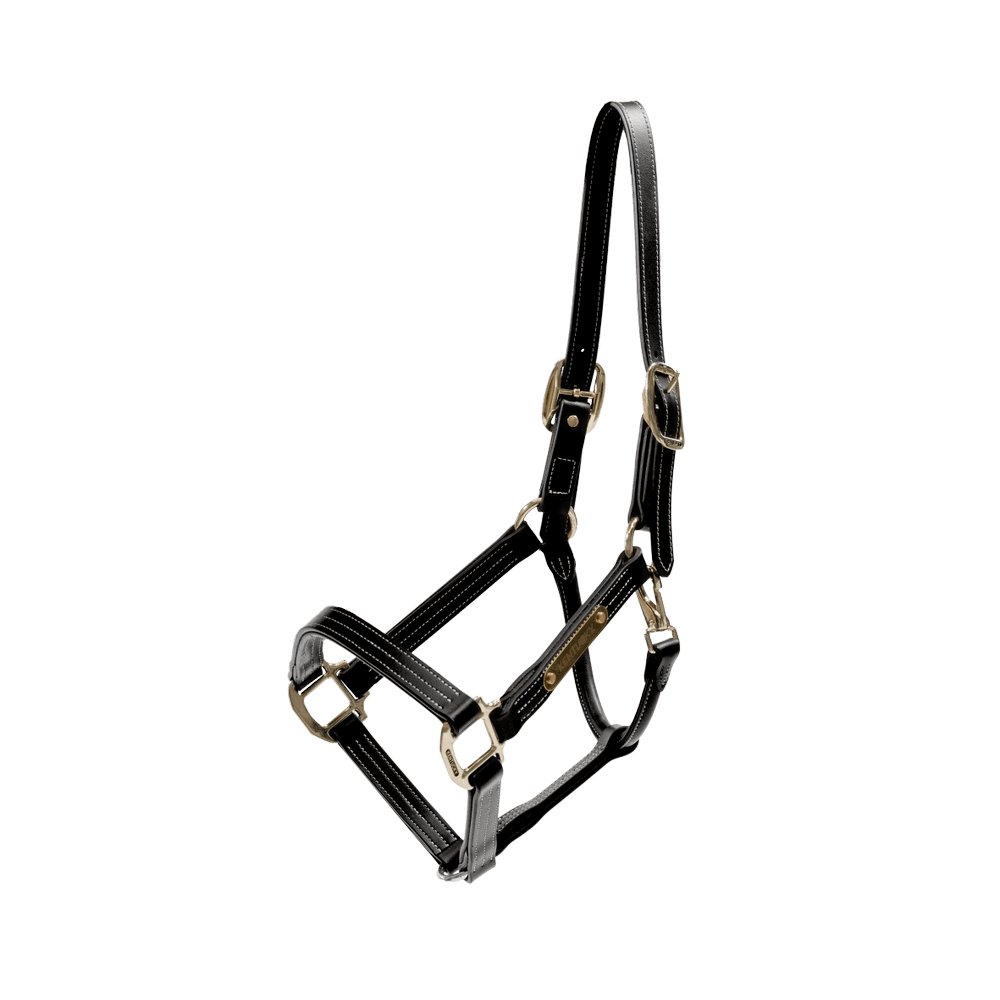 Leather Halter Wellington | Kentucky Horsewear | Stylish