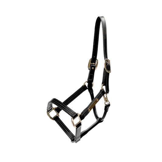 Leather Halter Wellington | Kentucky Horsewear | Stylish