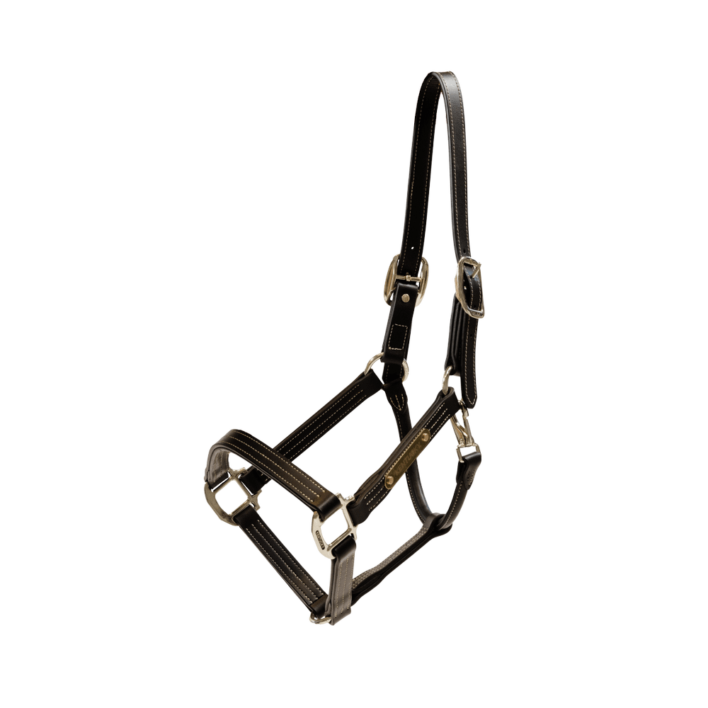 Leather Halter Wellington | Kentucky Horsewear | Stylish — Image 4