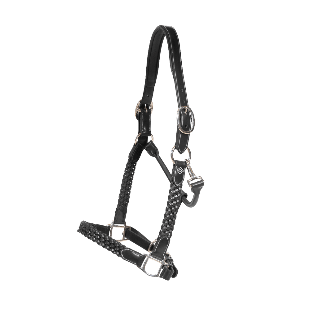 Plaited Halter | Dy'on | DurableLeather — Image 3