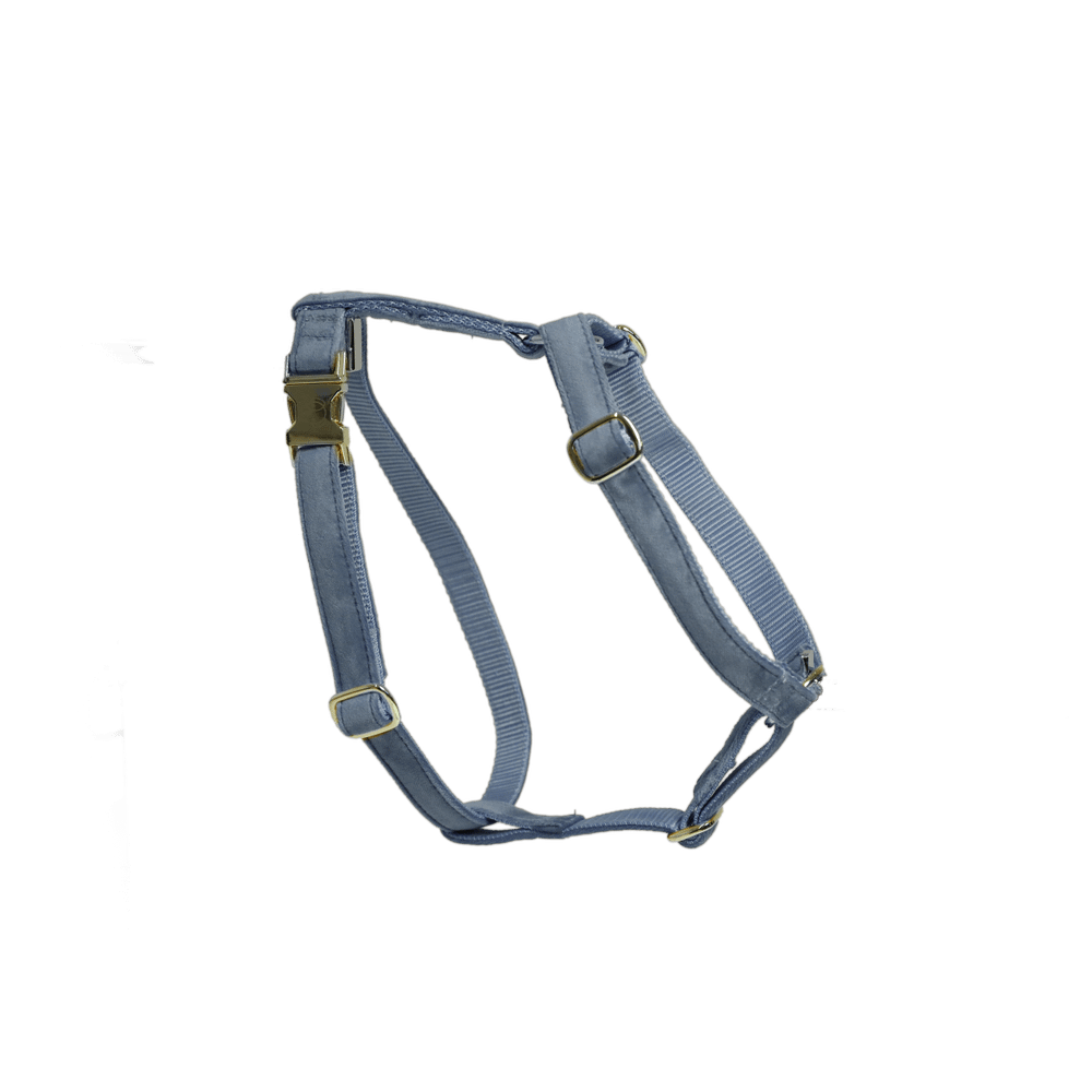 Dog Harness Loop Velvet | Kentucky Dogwear | Comfort