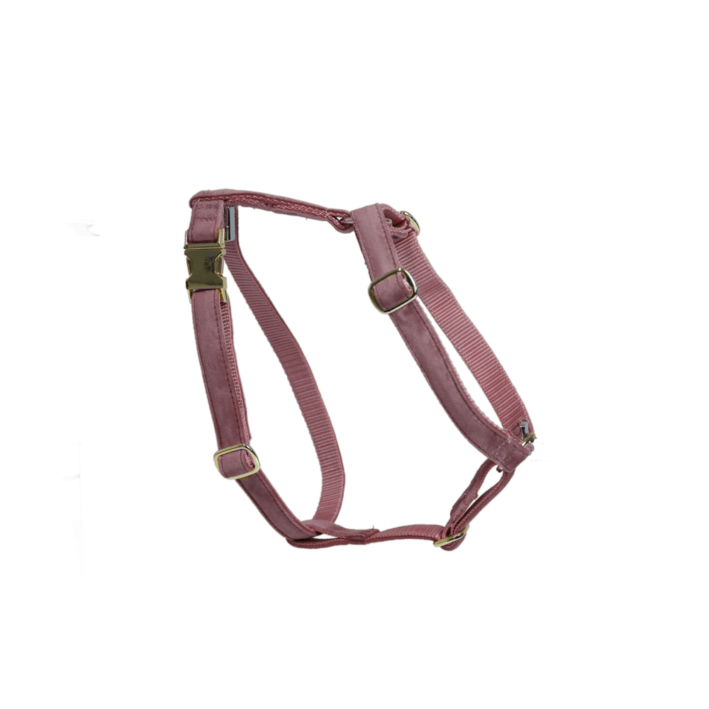 Dog Harness Loop Velvet | Kentucky Dogwear | Comfort — Image 10