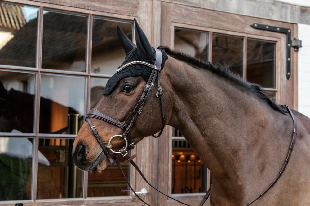 Fly Veil Wellington | Kentucky Horsewear | Soundproof — Image 4