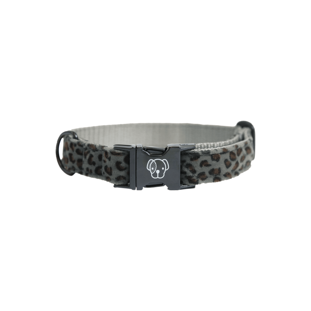 Dog Collar Leopard | Kentucky Dogwear | Fashionable — Image 5