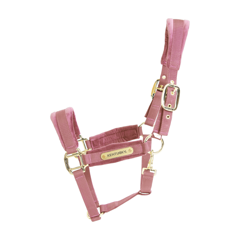 Velvet Halter | Kentucky Horsewear | VelvetDesign — Image 4