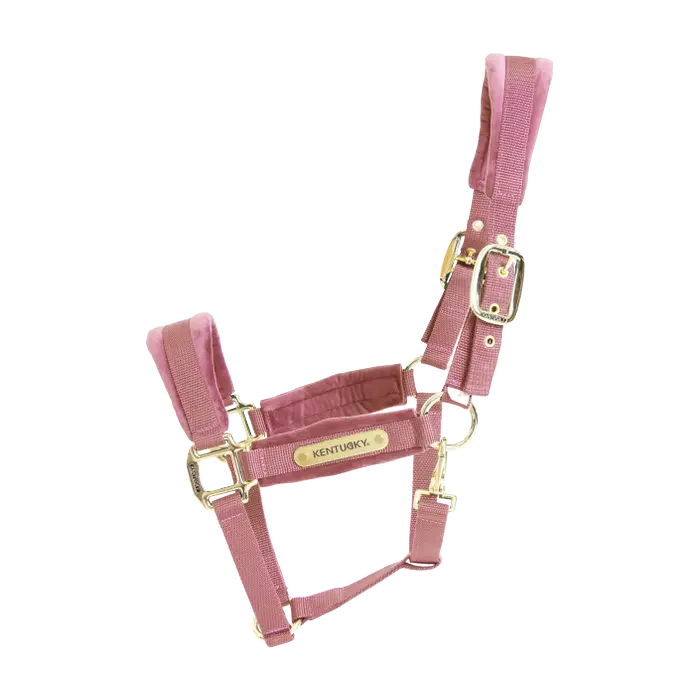 Boomerang Equestrian - Kentucky Velvet Halter Old Rose