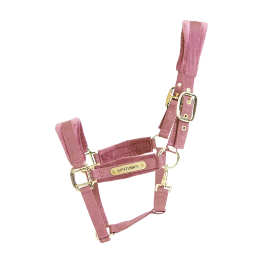 Boomerang Equestrian - Kentucky Velvet Halter Old Rose