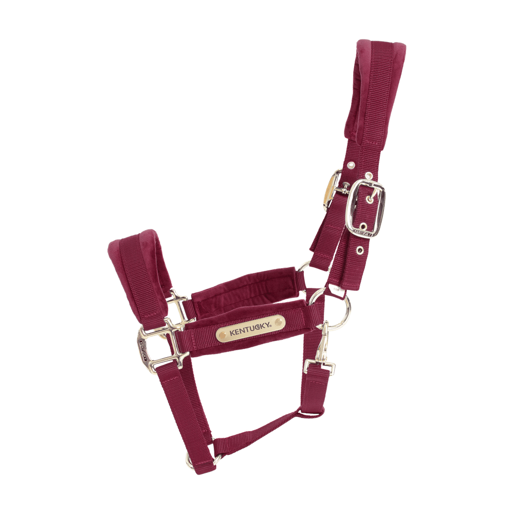 Velvet Halter | Kentucky Horsewear | VelvetDesign — Image 10