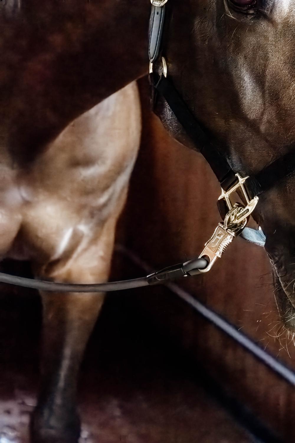 Horse Box Lead & Cross Ties Silicone | Kentucky Horsewear | Safe handling — Image 4