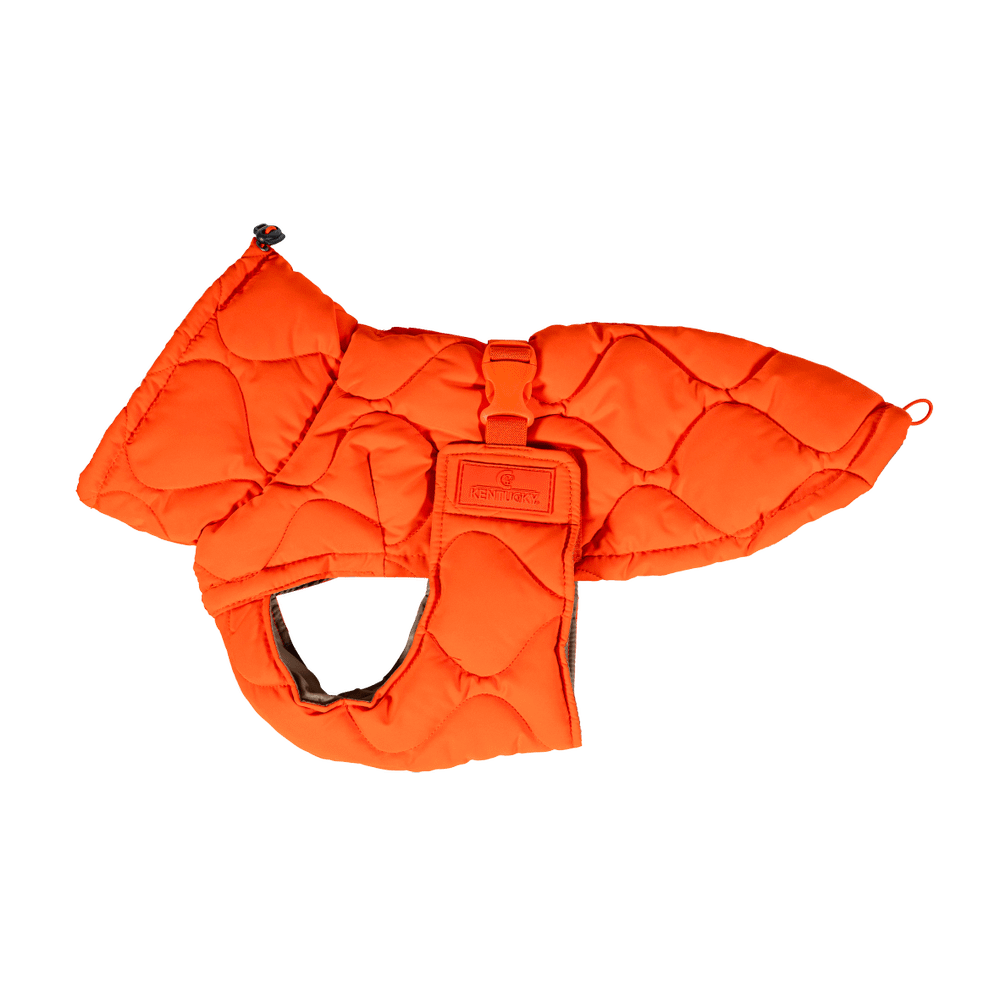 Dog Coat Winter Pina | Kentucky Dogwear | Stylish