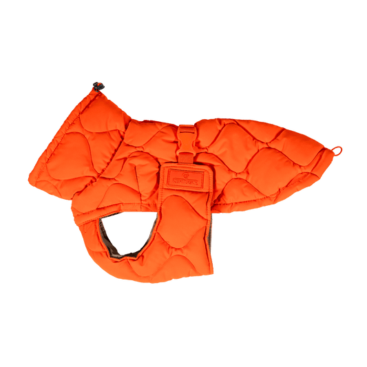 Dog Coat Winter Pina | Kentucky Dogwear | Stylish